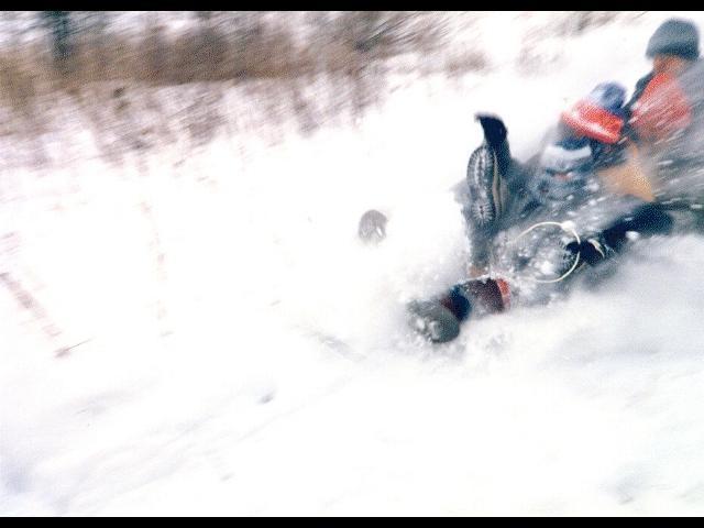 It is Winter Camp Universe Policy to not label pictures in our galleries