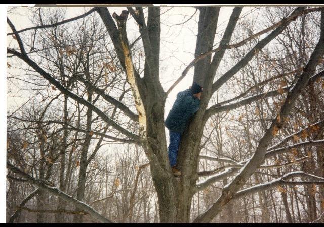 It is Winter Camp Universe Policy to not label pictures in our galleries