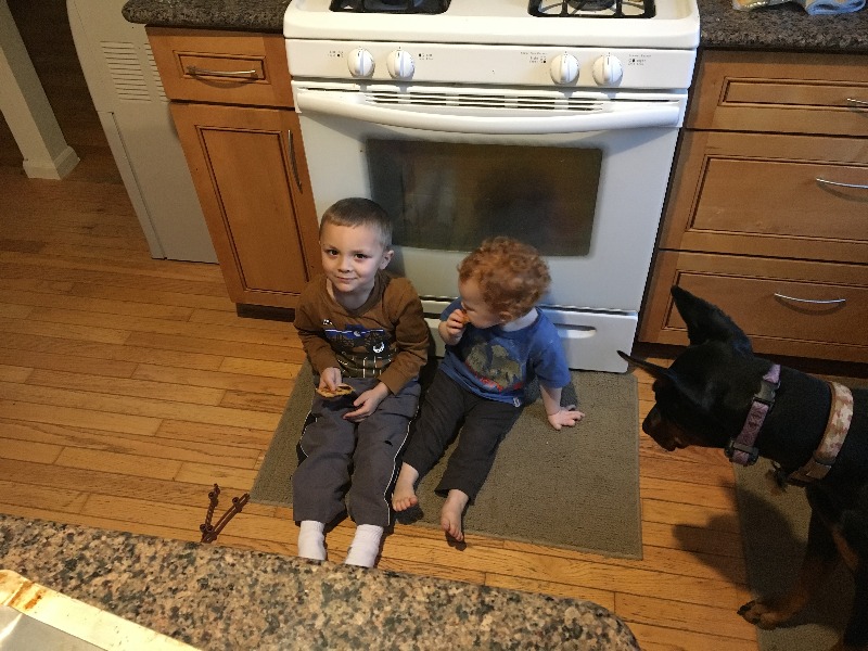 It is Winter Camp Universe Policy to not label pictures in our galleries