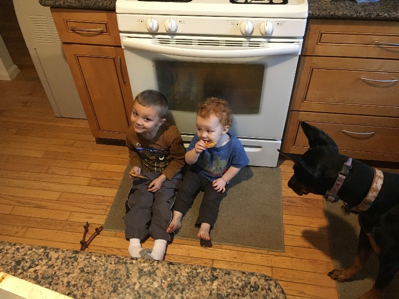 It is Winter Camp Universe Policy to not label pictures in our galleries