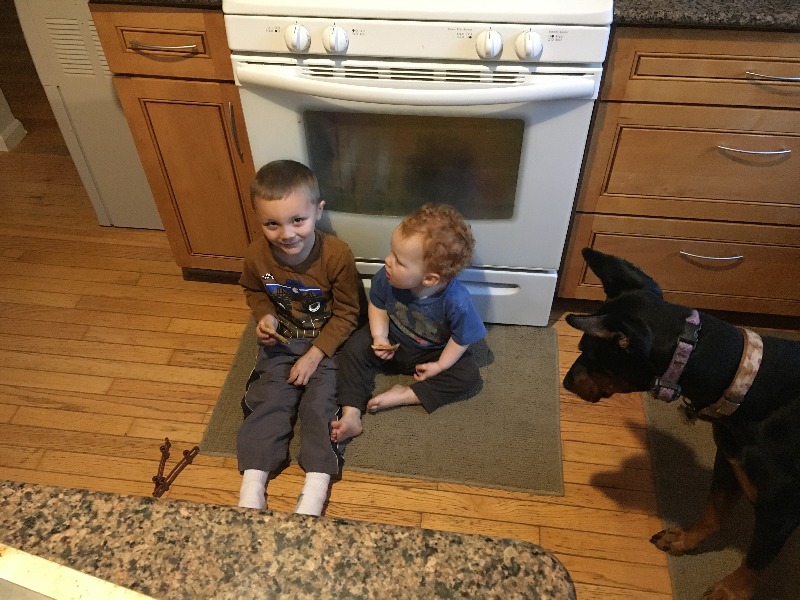 It is Winter Camp Universe Policy to not label pictures in our galleries