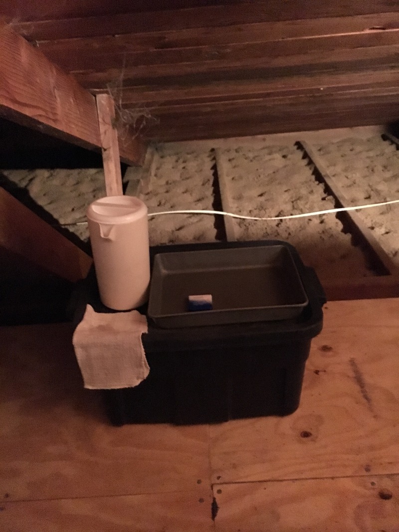 It is Winter Camp Universe Policy to not label pictures in our galleries