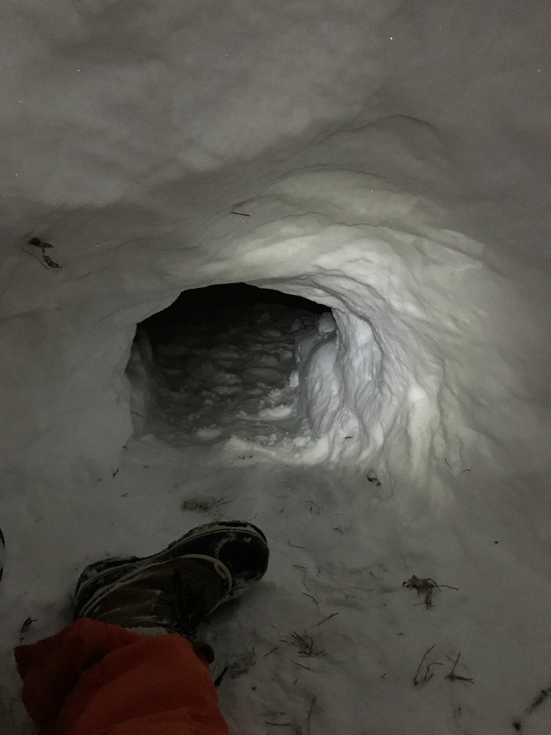 It is Winter Camp Universe Policy to not label pictures in our galleries