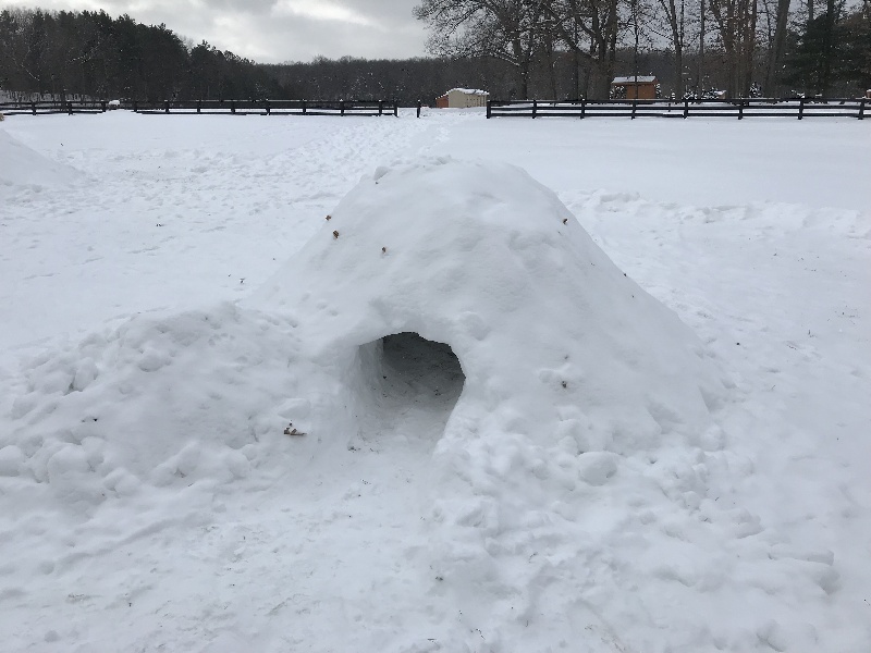 It is Winter Camp Universe Policy to not label pictures in our galleries