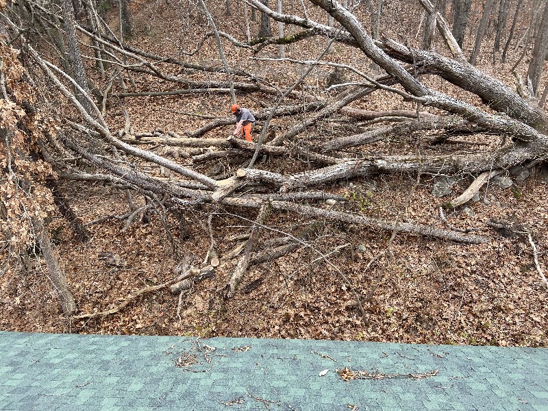 It is Winter Camp Universe Policy to not label pictures in our galleries