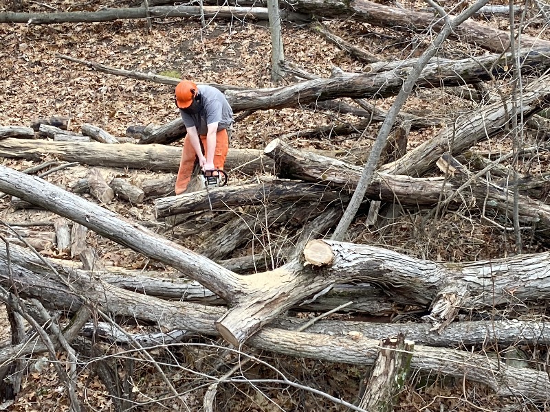 It is Winter Camp Universe Policy to not label pictures in our galleries