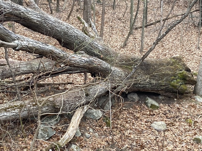 It is Winter Camp Universe Policy to not label pictures in our galleries