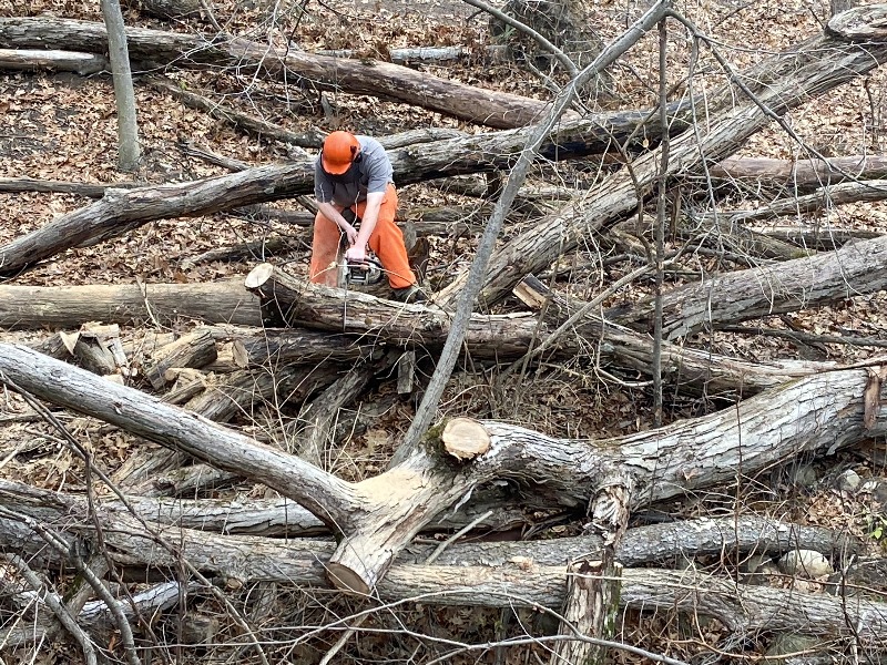 It is Winter Camp Universe Policy to not label pictures in our galleries