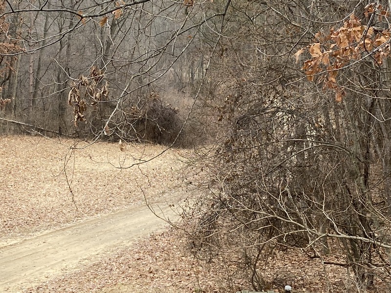 It is Winter Camp Universe Policy to not label pictures in our galleries