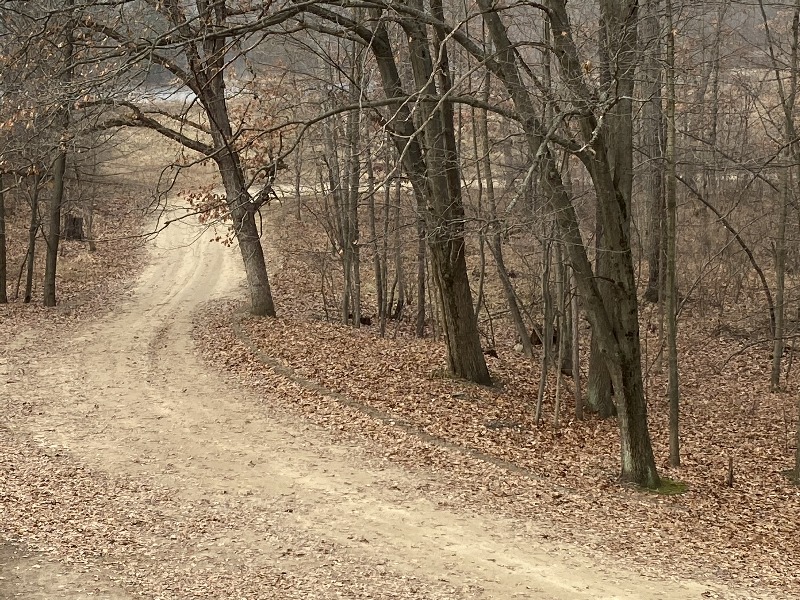 It is Winter Camp Universe Policy to not label pictures in our galleries