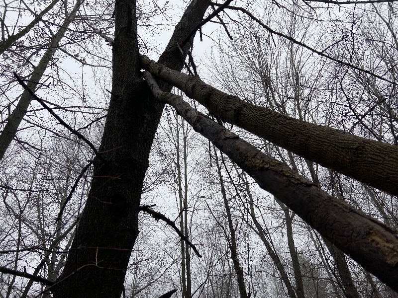 It is Winter Camp Universe Policy to not label pictures in our galleries