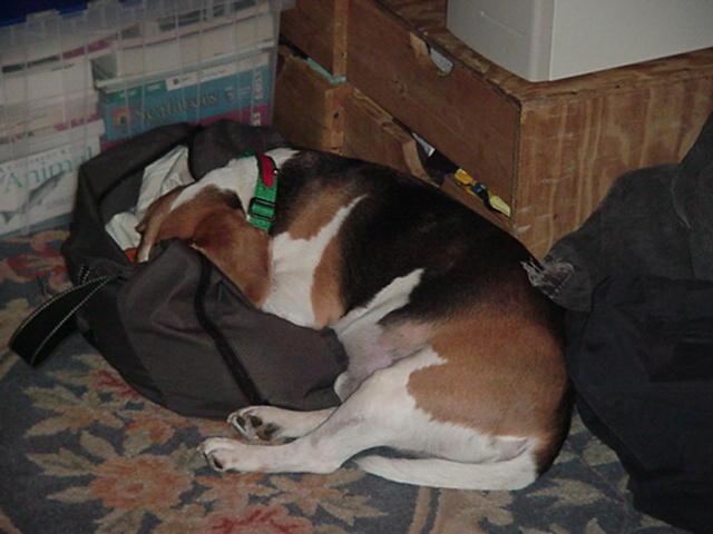 It is Winter Camp Universe Policy to not label pictures in our galleries