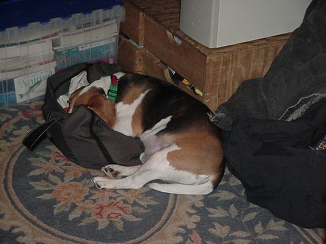 It is Winter Camp Universe Policy to not label pictures in our galleries