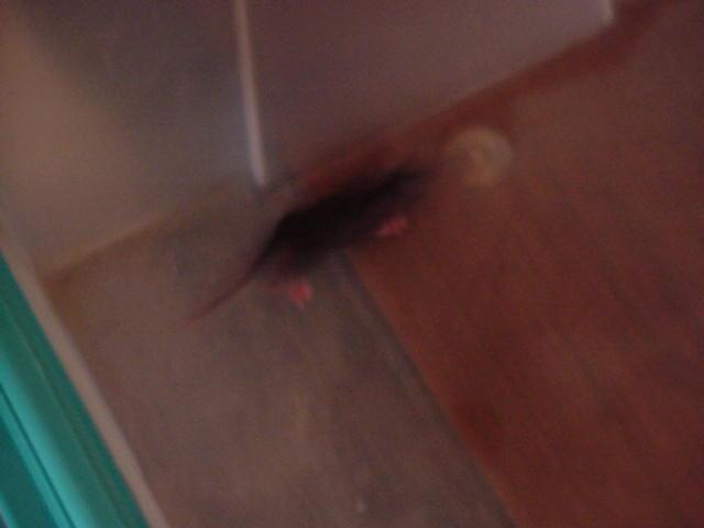 It is Winter Camp Universe Policy to not label pictures in our galleries