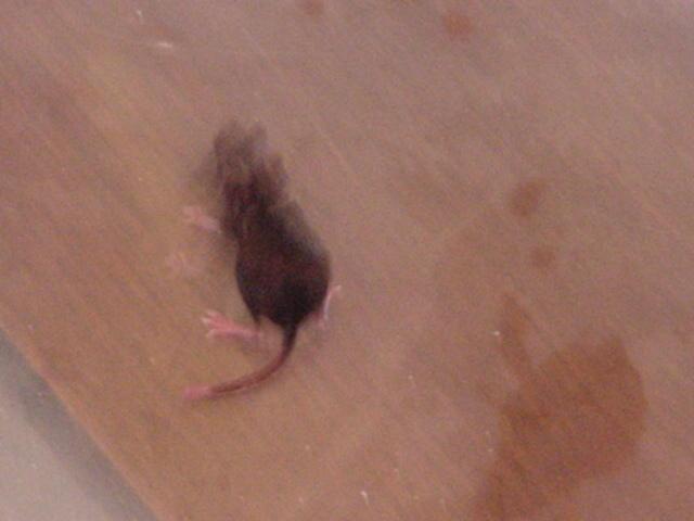 It is Winter Camp Universe Policy to not label pictures in our galleries