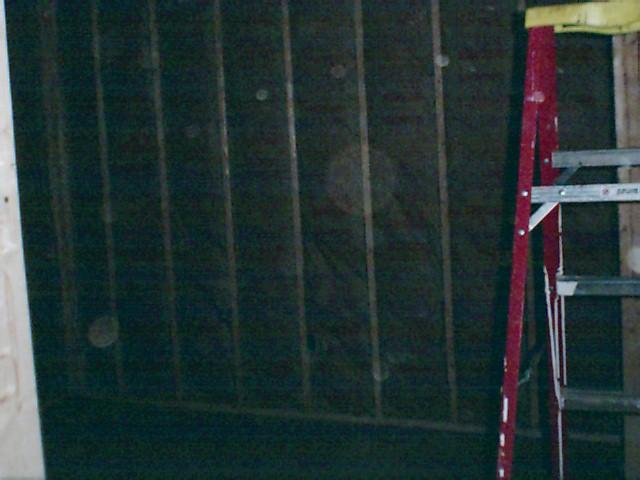 It is Winter Camp Universe Policy to not label pictures in our galleries