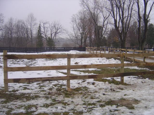 It is Winter Camp Universe Policy to not label pictures in our galleries