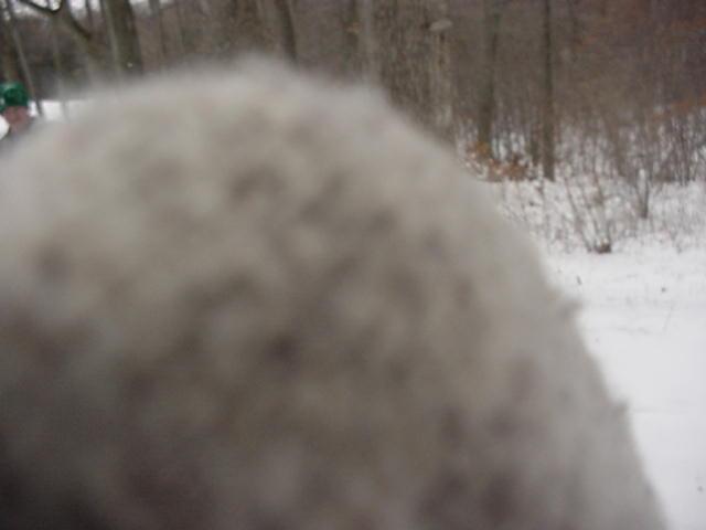 It is Winter Camp Universe Policy to not label pictures in our galleries