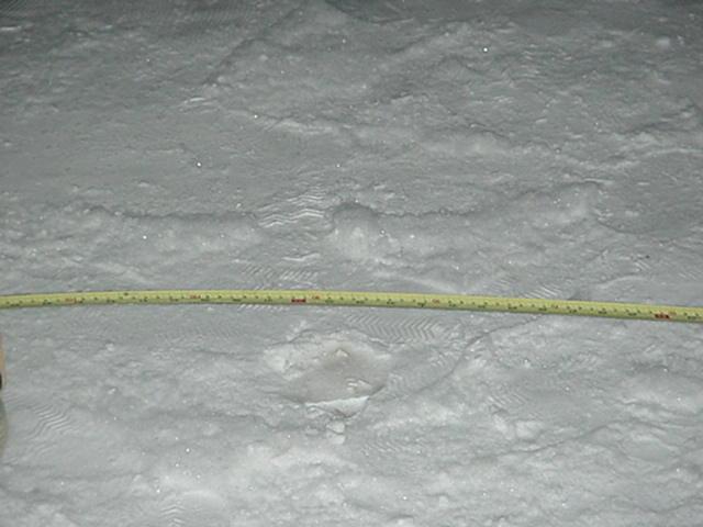 It is Winter Camp Universe Policy to not label pictures in our galleries