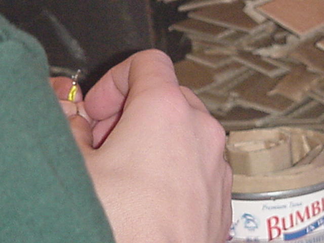 It is Winter Camp Universe Policy to not label pictures in our galleries