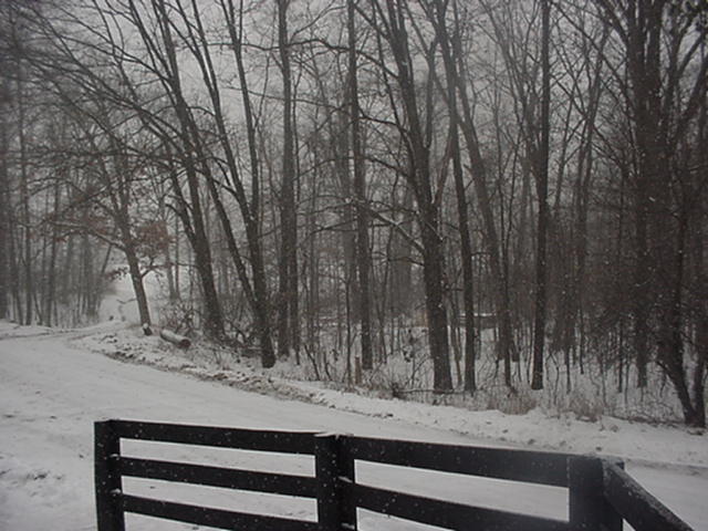 It is Winter Camp Universe Policy to not label pictures in our galleries