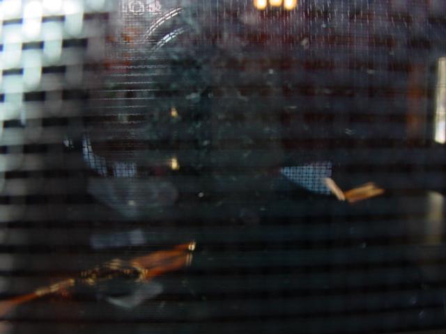 It is Winter Camp Universe Policy to not label pictures in our galleries