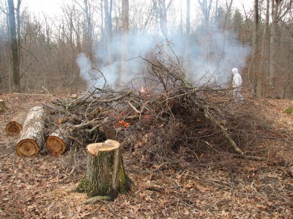 It is Winter Camp Universe Policy to not label pictures in our galleries