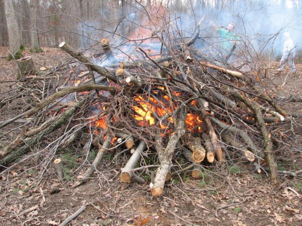 It is Winter Camp Universe Policy to not label pictures in our galleries