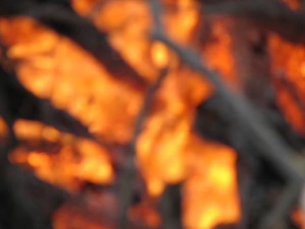 It is Winter Camp Universe Policy to not label pictures in our galleries