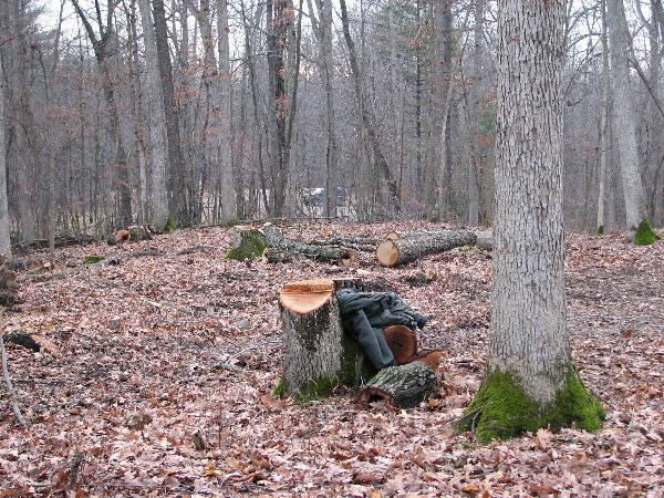 It is Winter Camp Universe Policy to not label pictures in our galleries