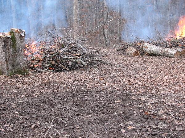 It is Winter Camp Universe Policy to not label pictures in our galleries