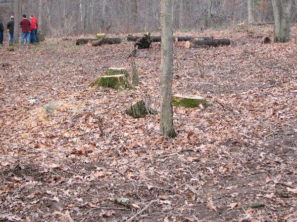 It is Winter Camp Universe Policy to not label pictures in our galleries