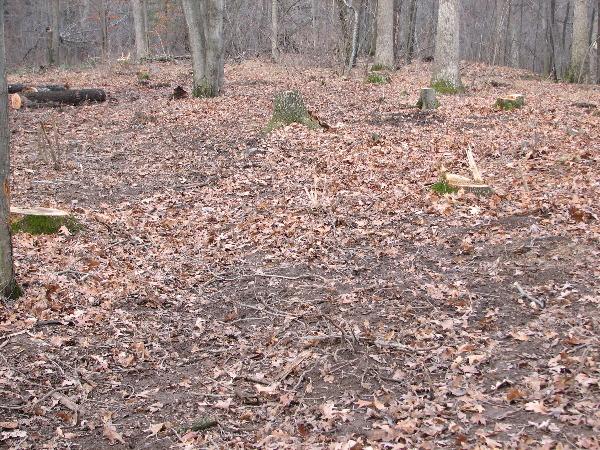 It is Winter Camp Universe Policy to not label pictures in our galleries