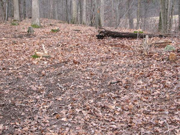 It is Winter Camp Universe Policy to not label pictures in our galleries