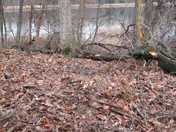 It is Winter Camp Universe Policy to not label pictures in our galleries