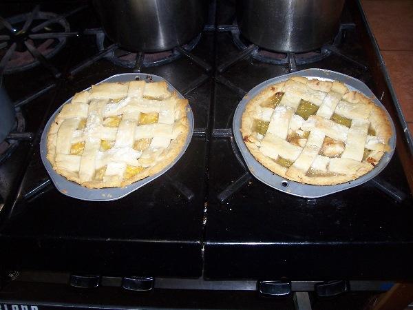 It is Winter Camp Universe Policy to not label pictures in our galleries