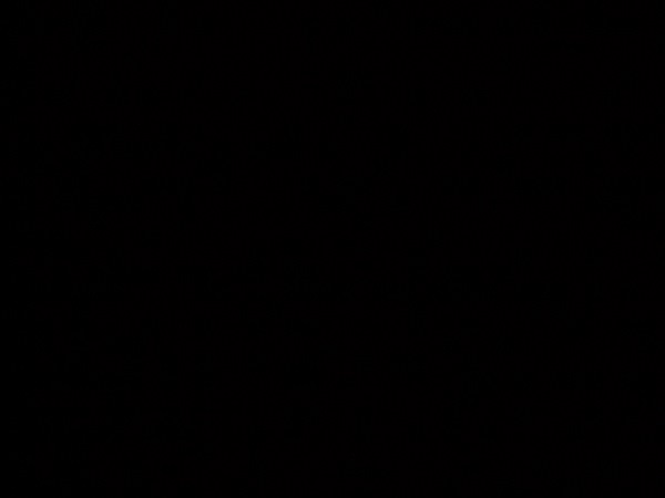 It is Winter Camp Universe Policy to not label pictures in our galleries