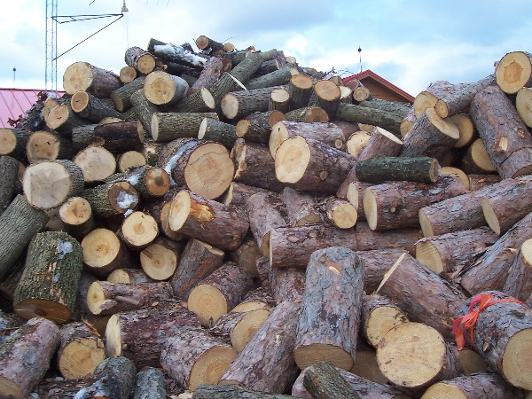 It is Winter Camp Universe Policy to not label pictures in our galleries