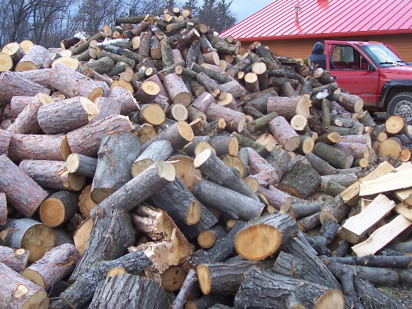 It is Winter Camp Universe Policy to not label pictures in our galleries