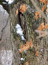 Thumbnail for img_2049.jpg