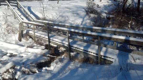 It is Winter Camp Universe Policy to not label pictures in our galleries