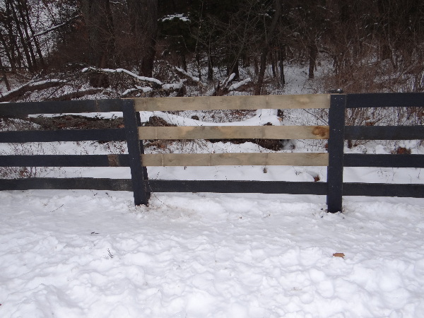 It is Winter Camp Universe Policy to not label pictures in our galleries