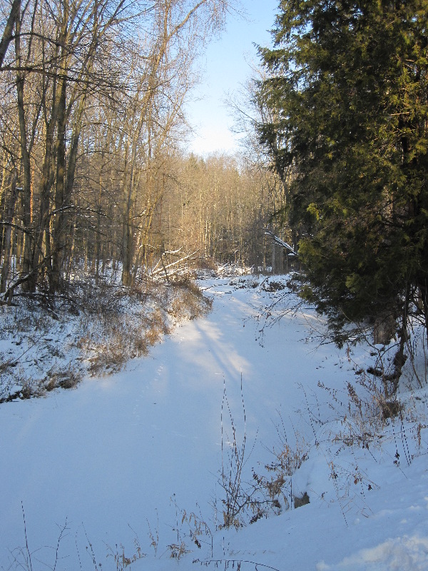 It is Winter Camp Universe Policy to not label pictures in our galleries