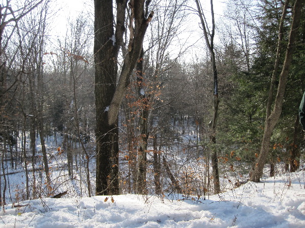 It is Winter Camp Universe Policy to not label pictures in our galleries