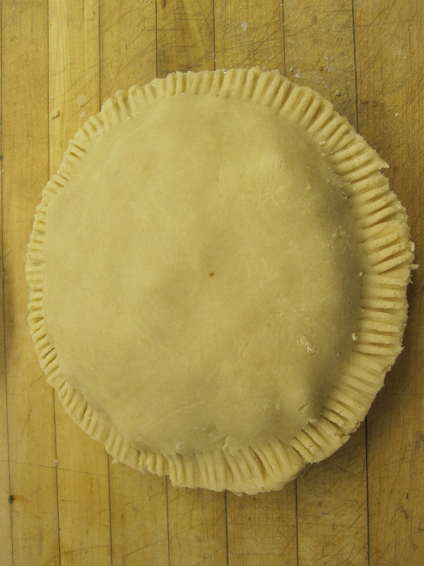 It is Winter Camp Universe Policy to not label pictures in our galleries