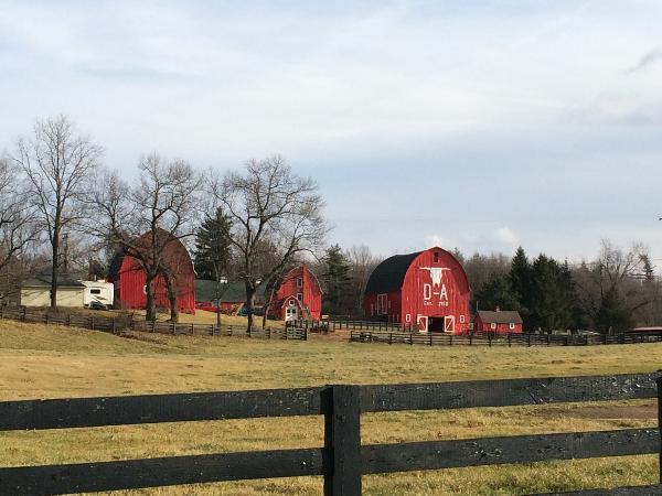 It is Winter Camp Universe Policy to not label pictures in our galleries