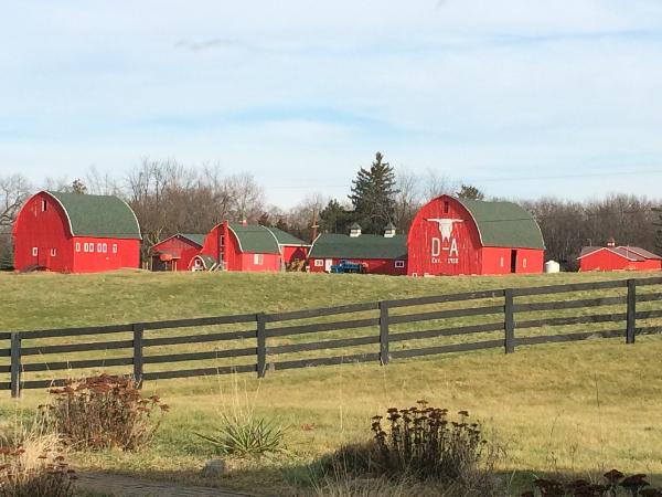 It is Winter Camp Universe Policy to not label pictures in our galleries