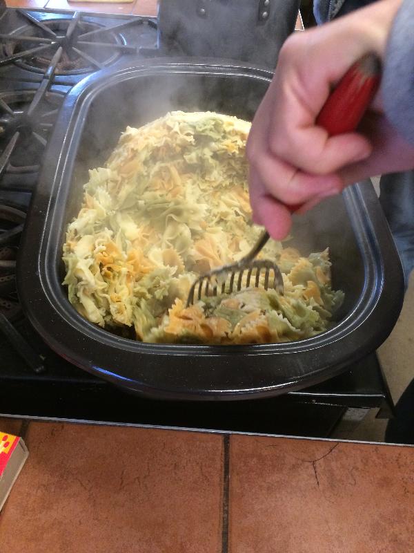 It is Winter Camp Universe Policy to not label pictures in our galleries