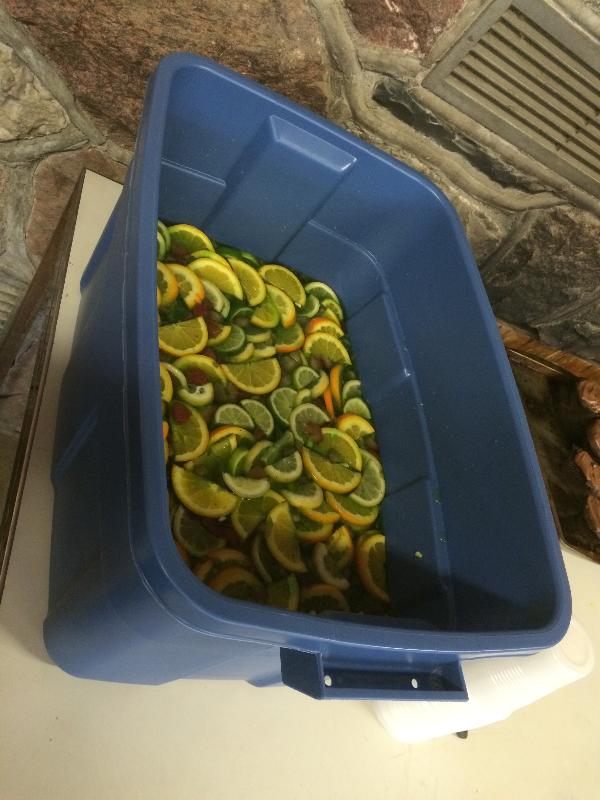 It is Winter Camp Universe Policy to not label pictures in our galleries