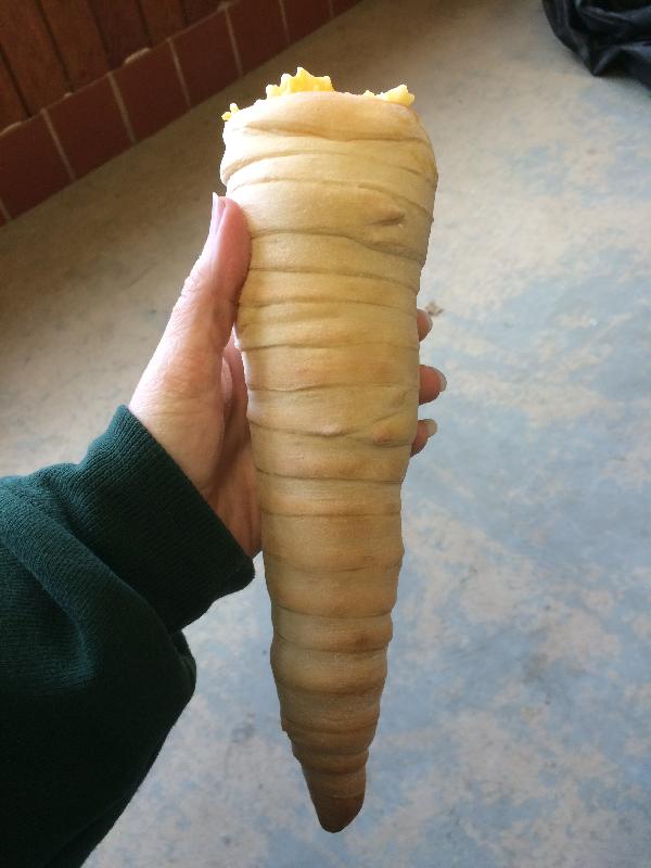 It is Winter Camp Universe Policy to not label pictures in our galleries